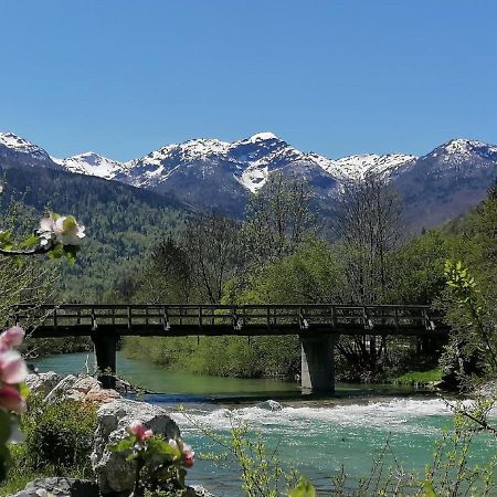 Apartma In Sobe Pr'Objan Bohinj Luaran gambar