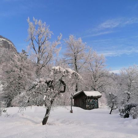 Apartma In Sobe Pr'Objan Bohinj Luaran gambar