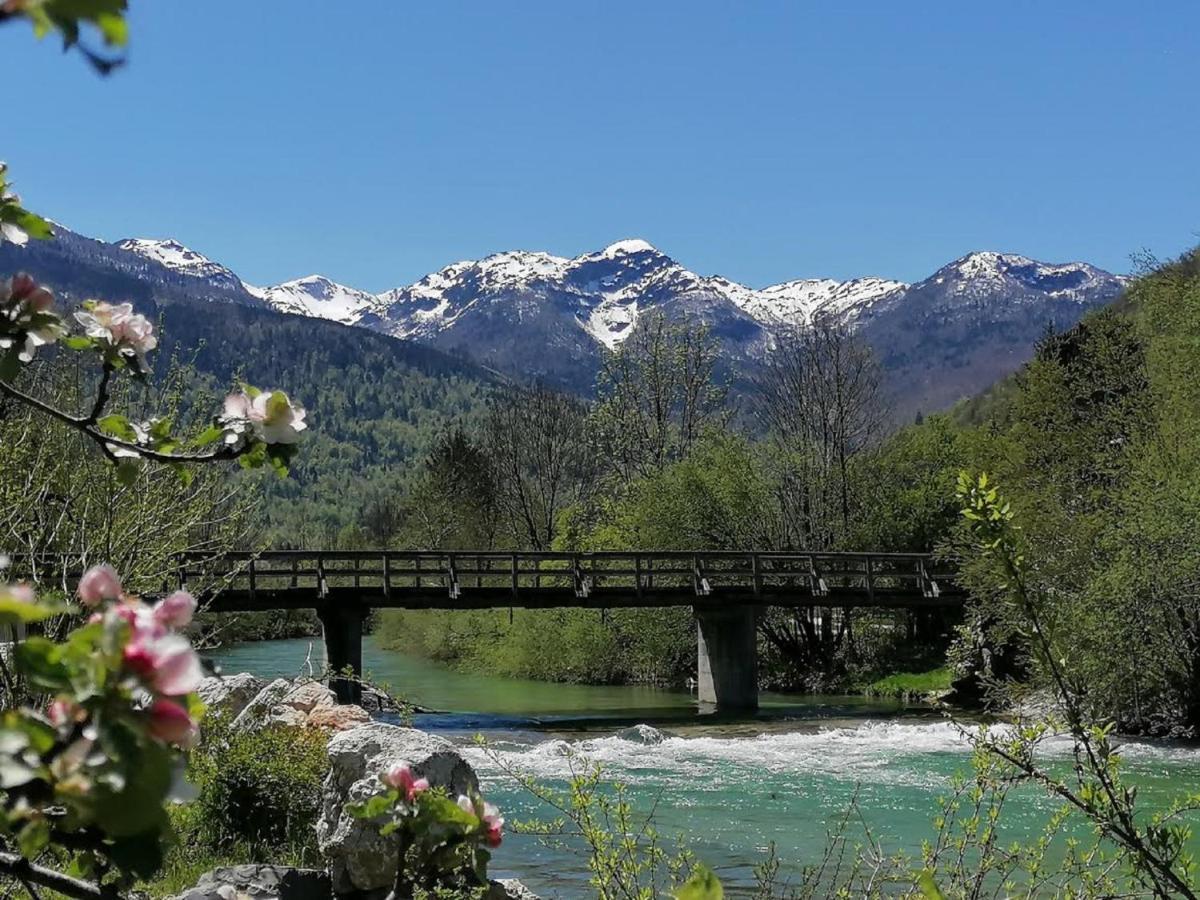 Apartma In Sobe Pr'Objan Bohinj Luaran gambar
