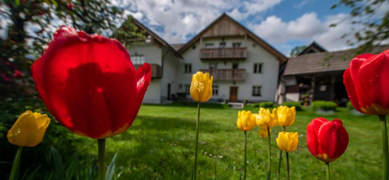 Apartma In Sobe Pr'Objan Bohinj Luaran gambar