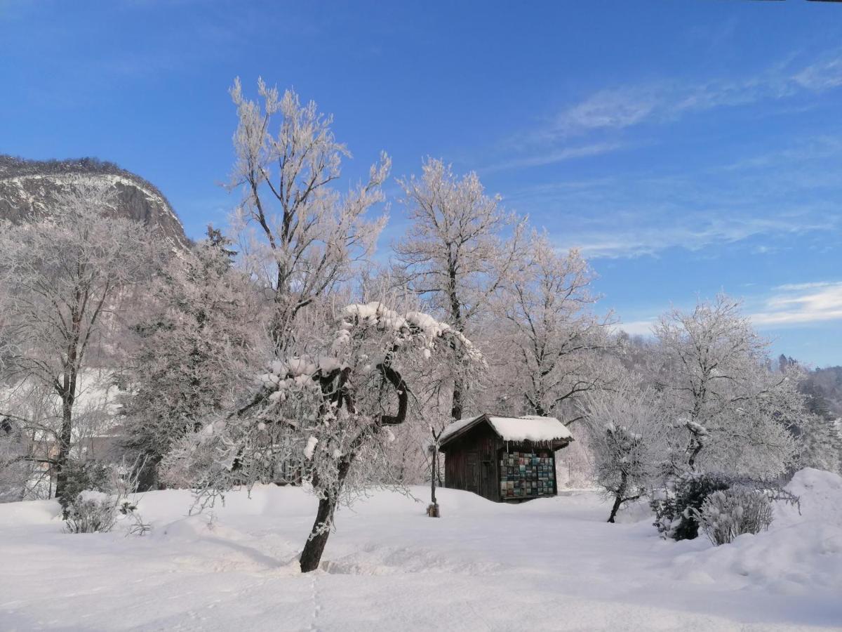 Apartma In Sobe Pr'Objan Bohinj Luaran gambar